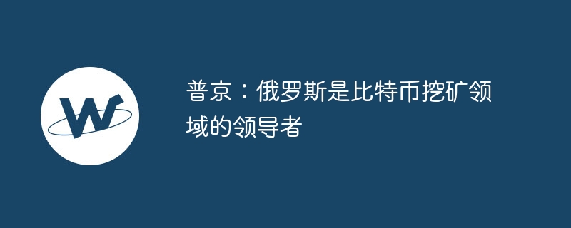 普京:俄罗斯是比特币挖矿领域的领导者