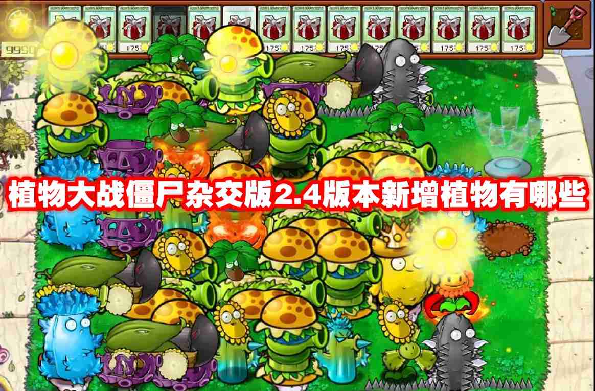 植物大战僵尸杂交版2.4版本更新了什么 植物大战僵尸杂交版2.4版本更新介绍
