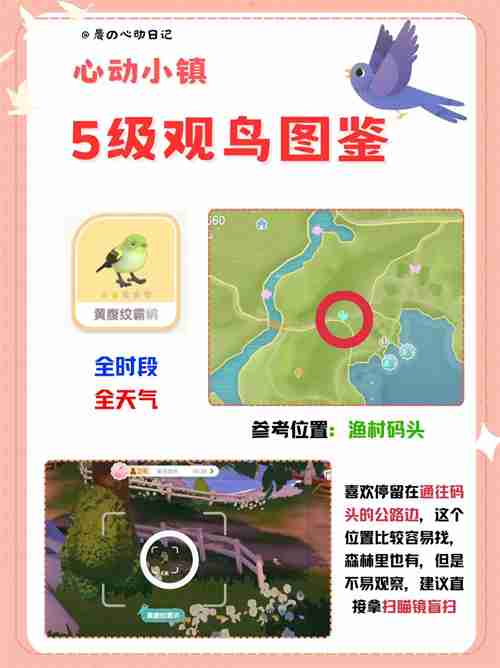 心动小镇五级观鸟详细位置整理一览