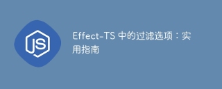 effect-ts 中的过滤选项:实用指南