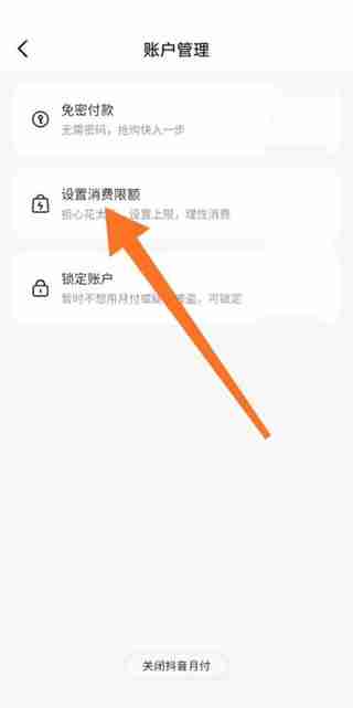 抖音支付限额怎么设置 抖音支付限额设置方法