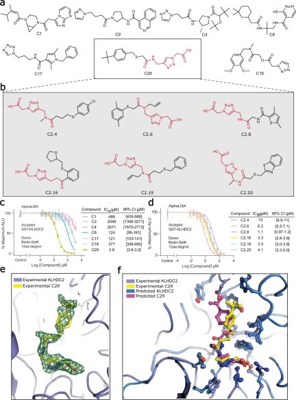 筛选数十亿化合物库，华盛顿大学药物AI虚拟筛选平台，登Nature子刊