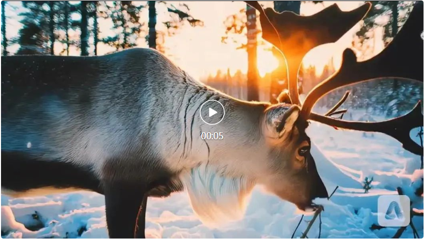 厉害了!Adobe新出Firefly视频模型,2分钟速成高清大片