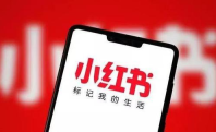 小红书怎么公开在线状态 设置在线状态方法教程