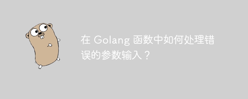 在 Golang 函数中如何处理错误的参数输入？