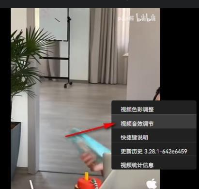 哔哩哔哩如何设置视频音效 哔哩哔哩设置视频音效方法