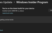 Win11怎么从Dev开发版切换到Beta频道