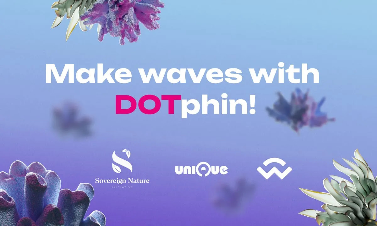 Unveiling DOTphin: A Cutting-Edge Polkadot NFT Project Designed for Participants of Token 2049 in Singapore