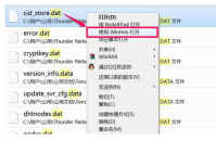 Win10专业版dat文件怎么打开