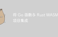 将 Go 函数与 Rust WASM 项目集成