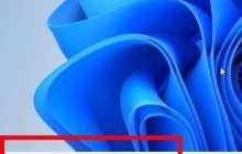 Win11应用商店无法联网怎么解决