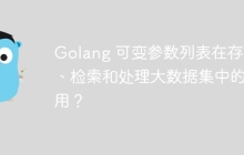 Golang 可变参数列表在存储、检索和处理大数据集中的应用？
