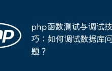 php函数测试与调试技巧：如何调试数据库问题？