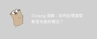 Golang 函数:如何处理类型断言失败的情况?