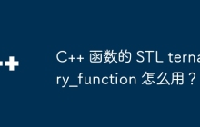 C++ 函数的 STL ternary_function 怎么用？
