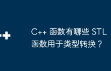 C++ 函数有哪些 STL 函数用于类型转换？