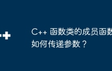 C++ 函数类的成员函数如何传递参数？