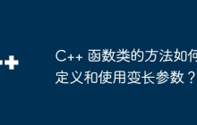 C++ 函数类的方法如何定义和使用变长参数？