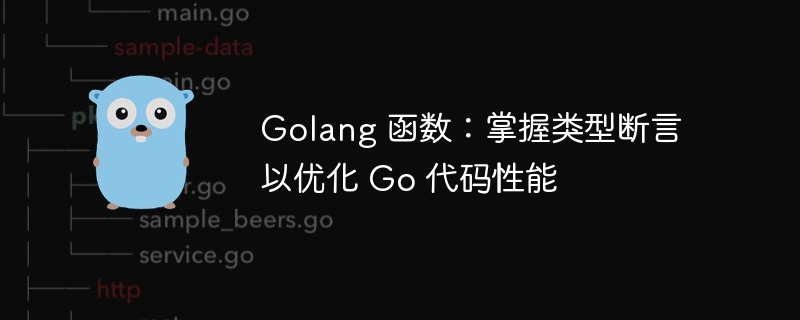 golang 函数：掌握类型断言以优化 go 代码性能