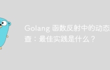Golang 函数反射中的动态检查：最佳实践是什么？