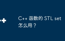 C++ 函数的 STL set 怎么用？