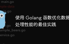 使用 Golang 函数优化数据处理性能的最佳实践