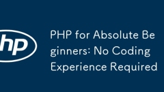 PHP 绝对初学者:无需编码经验