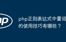 php正则表达式中量词的使用技巧有哪些?