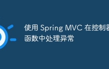 使用 Spring MVC 在控制器函数中处理异常