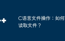 C语言文件操作：如何读取文件？