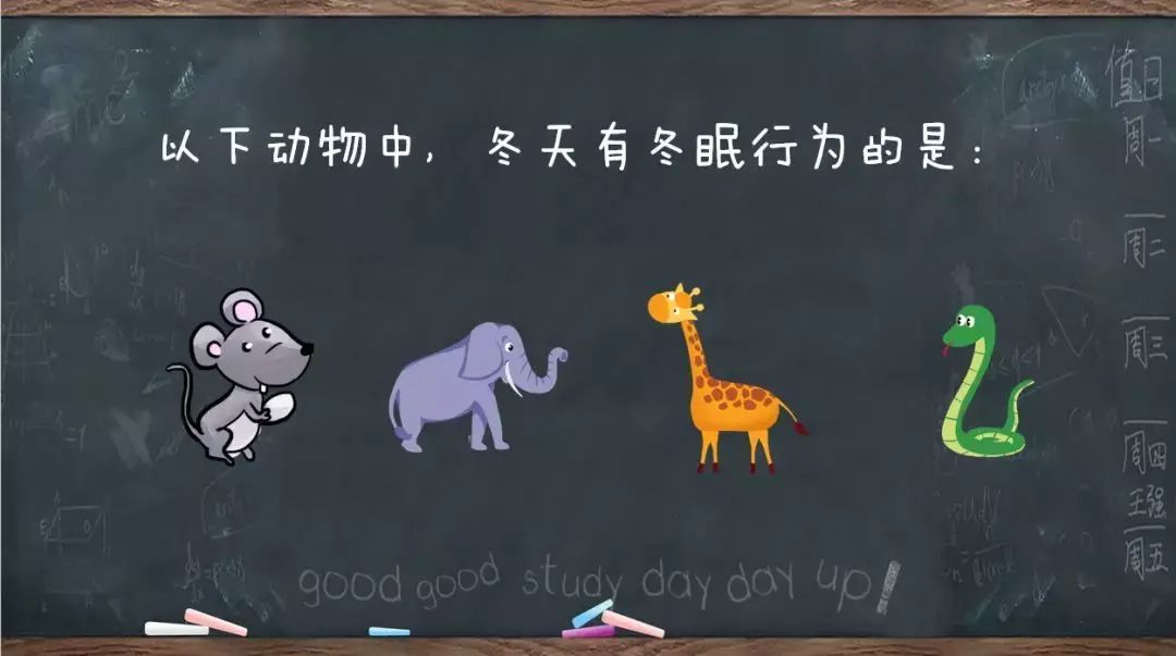 触发器PPT制作指南,打造精美的演示文稿