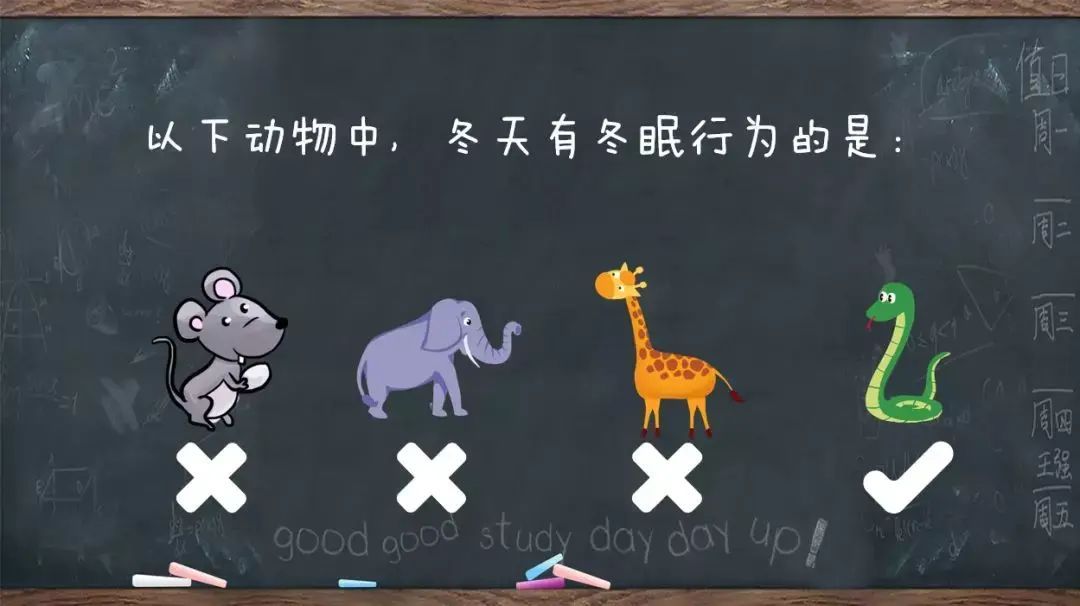 触发器PPT制作指南,打造精美的演示文稿