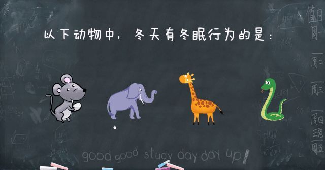 触发器PPT制作指南,打造精美的演示文稿