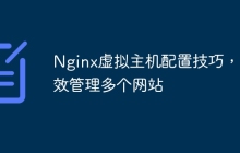 Nginx虚拟主机配置技巧，高效管理多个网站