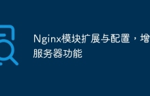 Nginx模块扩展与配置，增强服务器功能