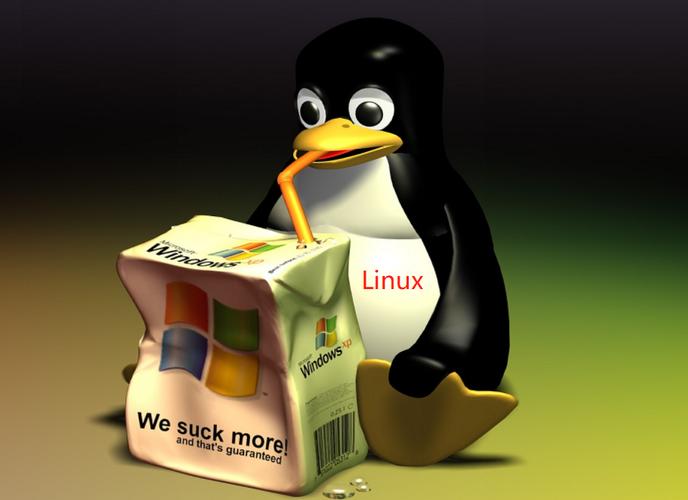 Linux服務器安全加固策略，防范網絡威脅