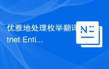 优雅地处理枚举翻译：Hostnet Entity Translation Bundle 的实践