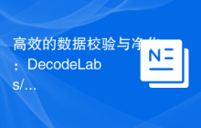 高效的数据校验与净化：DecodeLabs/Lucid 库的实践指南