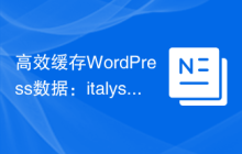 高效缓存WordPress数据：italystrap/cache库的使用指南
