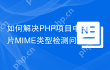 如何解决PHP项目中图片MIME类型检测问题？rosell-dk/image-mime-type-sniffer助你轻松搞定！
