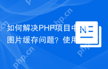 如何解决PHP项目中的图片缓存问题？使用Intervention/imagecache库可以！