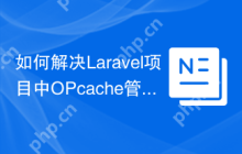 如何解决Laravel项目中OPcache管理问题？使用appstract/laravel-opcache可以！