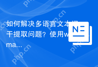 如何解决多语言文本词干提取问题？使用wamania/php-stemmer可以！