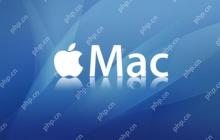 mac系统怎么查看端口