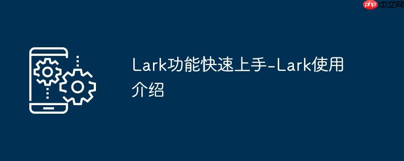lark功能快速上手-lark使用介绍