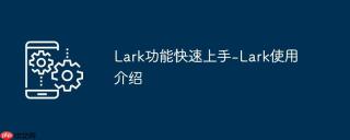 Lark功能快速上手-Lark使用介绍