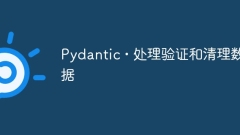 Pydantique • Vérification du processus et données propres