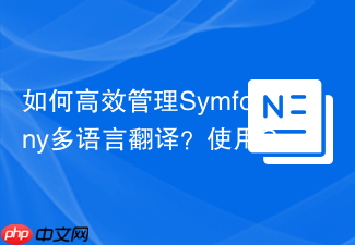 如何高效管理Symfony多语言翻译？使用Composer集成LocoTranslationProvider轻松解决！