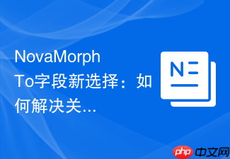 NovaMorphTo字段新选择:如何解决关联资源创建难题,提升LaravelNova开发效率