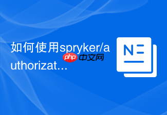 如何使用spryker/authorization-extension优化Spryker项目的权限管理?